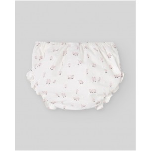 BRAGA TELA  GLACIAR PAZ... 2