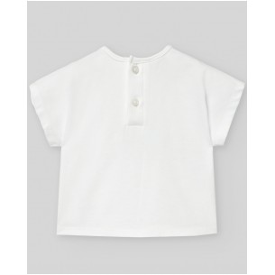 CAMISETA PECES PAZO PAZ... 2