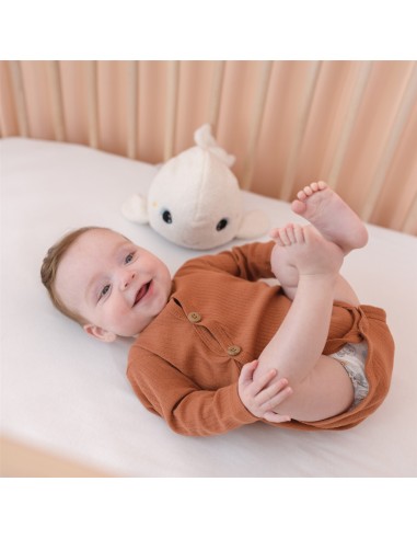 beluga peluche luminoso pabobo