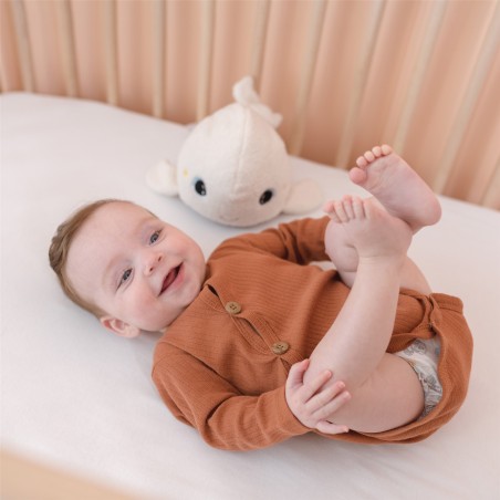 beluga peluche luminoso pabobo