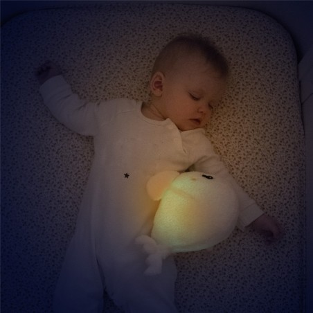 beluga peluche luminoso pabobo