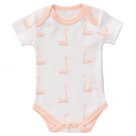 BODY ORGANICO MC FRESK