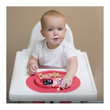 BABY LED WEANING (BLW)